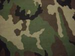 Gewebe US Army Woodland ripstop   Preis / Kilogramm